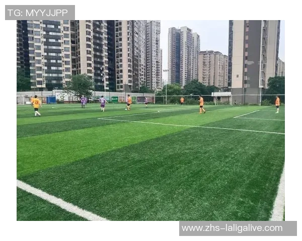 足球的魅力与激情探讨如何在绿茵场上书写传奇与梦想